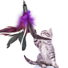 Load image into Gallery viewer, Funny 6 Pcs Fit For Life Replacement Feathers Pack Plus Soft Furry Tail For Interactive Cat And Kitten Toy Cat Toys
