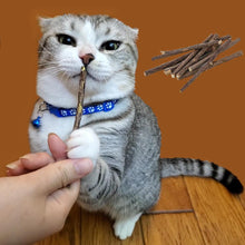 Load image into Gallery viewer, Cat Toy Gatos Natural Polygonum Cuspidatum Stick 10 Pieces Of Cat Supplies Cat Grab And Bite Stick Pack Matatabi for cats Catnip
