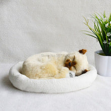 Load image into Gallery viewer, Puppet doll puppet will breathe fake cat plush toy simulation model cute kitten and  furnishings
