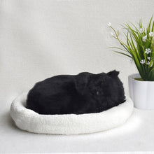 Load image into Gallery viewer, Puppet doll puppet will breathe fake cat plush toy simulation model cute kitten and  furnishings
