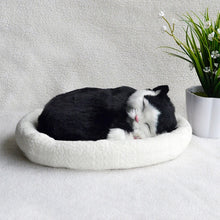 Load image into Gallery viewer, Puppet doll puppet will breathe fake cat plush toy simulation model cute kitten and  furnishings
