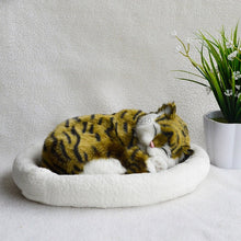 Load image into Gallery viewer, Puppet doll puppet will breathe fake cat plush toy simulation model cute kitten and  furnishings
